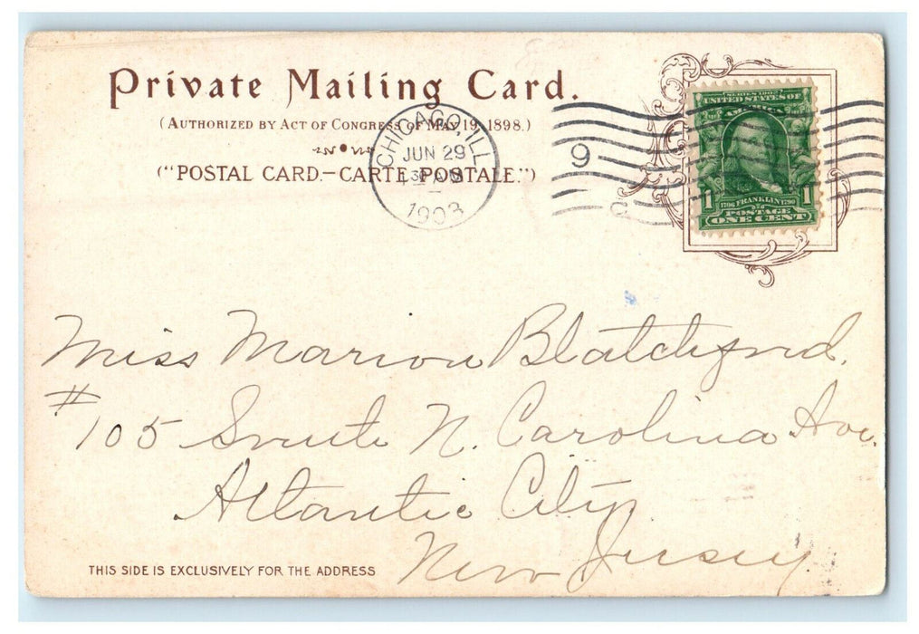 1903 Two Green Parrots in Wood Stand PMC Antique Posted Postcard