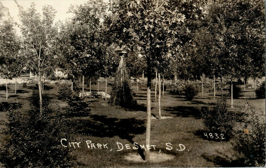 1908 City Park DeSmet South Dakota SD Hunting Pheasant RPPC Photo Postcard