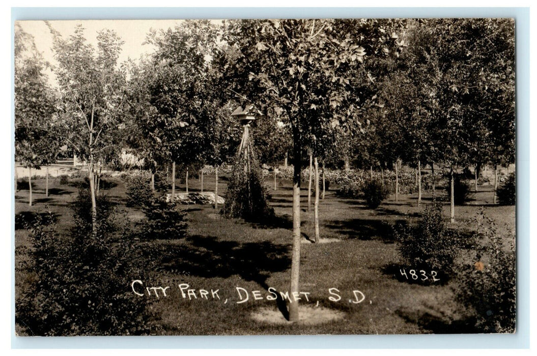 1908 City Park DeSmet South Dakota SD Hunting Pheasant RPPC Photo Postcard