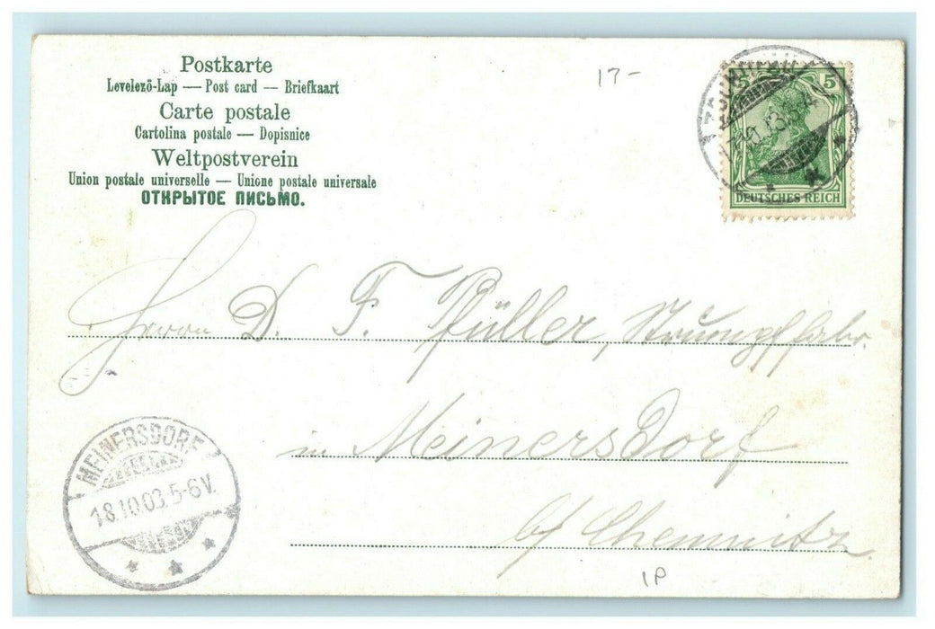 1903 German Woman with Turkey 'Frohliche Kirchmeih' Meinersdorf Antique Postcard