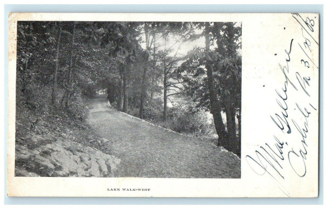1903 Shamokin PA Lake Walk West Carisle Pennsylvania PA Posted PMC  Postcard
