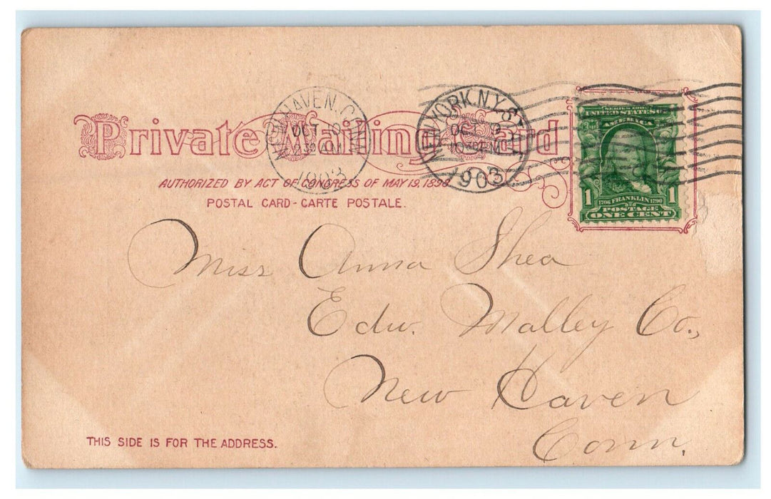 1903 Barnard College New York City NY STA Antique Posted Postcard
