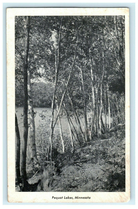1946 Pequot Lakes Minnesota Posted Raritan Illinois Vintage Postcard