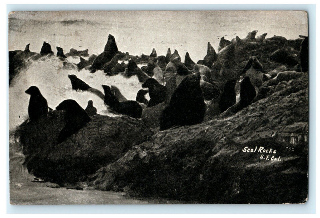 1909 Seal Rocks San Francisco California CA Antique Posted Postcard