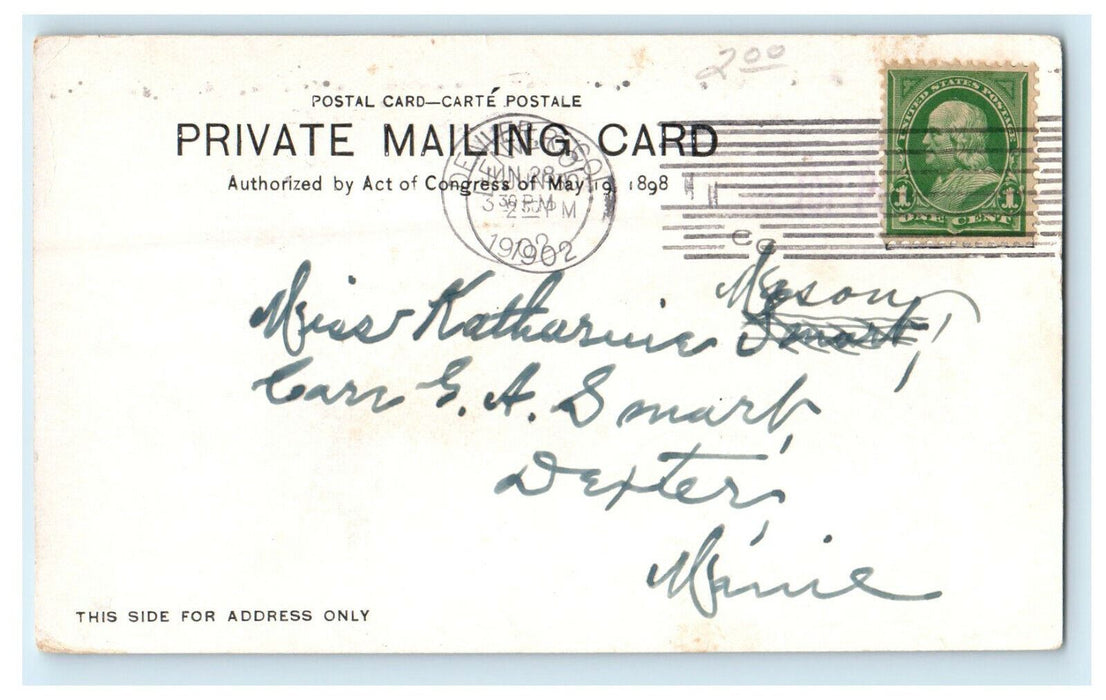 1902 Teddy Buck Carrying Things Antique Posted PMC Postcard