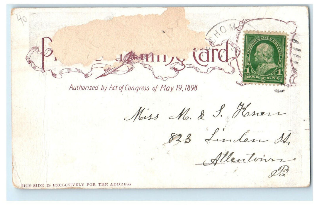 1901 Allentown PA, Multiview of Mount Lowe Railway, Antique PMC Posted Postcard