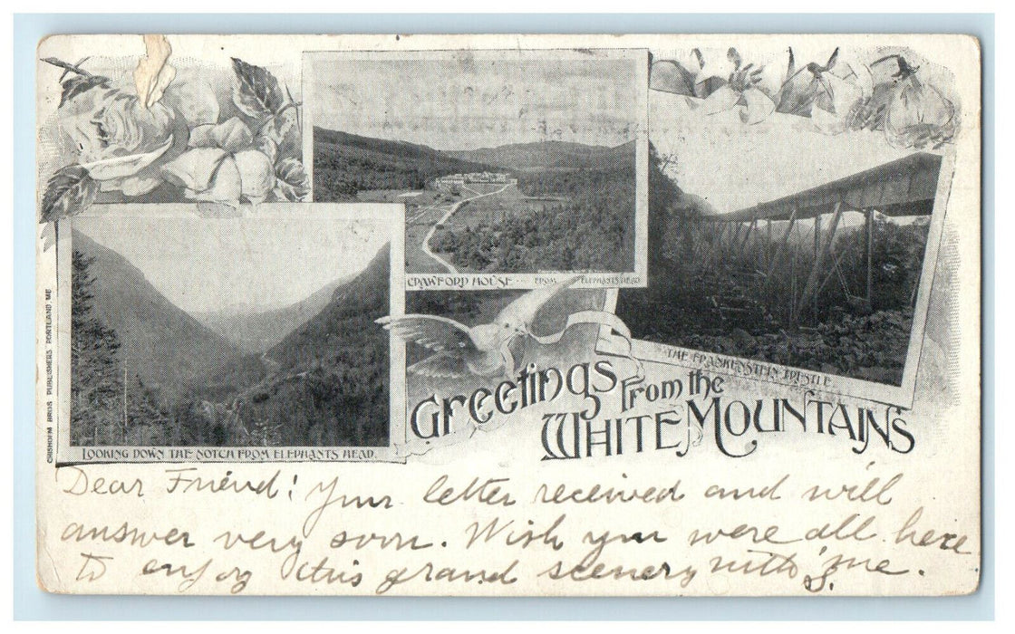 c1900's Greetings from the White Mountains NH North Conway NH Postcard