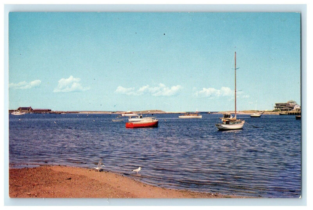 c1956 Steamboat at Lake Anthony, Oak Bluffs Massachusetts MA Vintage Postcard