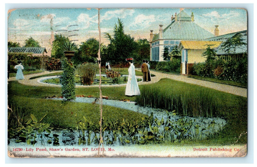 1910 Lily Pond Shaw's Garden St. Louis Missouri MO Antique Postcard