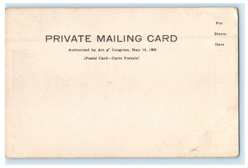 c1900s Mount Mansfield, The Chin Vermont VT PMC Unposted Postcard