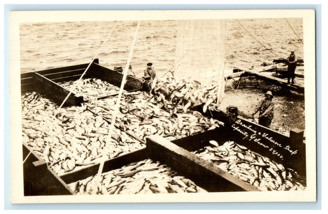 c1930's Brailing Salmon Trap Fisherman Fishes Alaska AK RPPC Photo Postcard