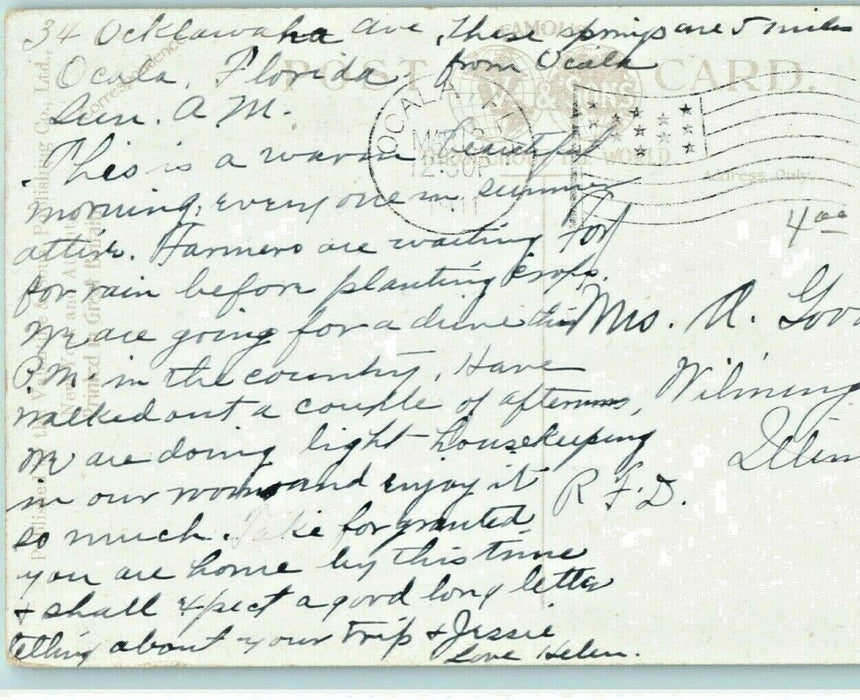 1911 At Silver Springs Ocala Florida FL Posted Antique Postcard