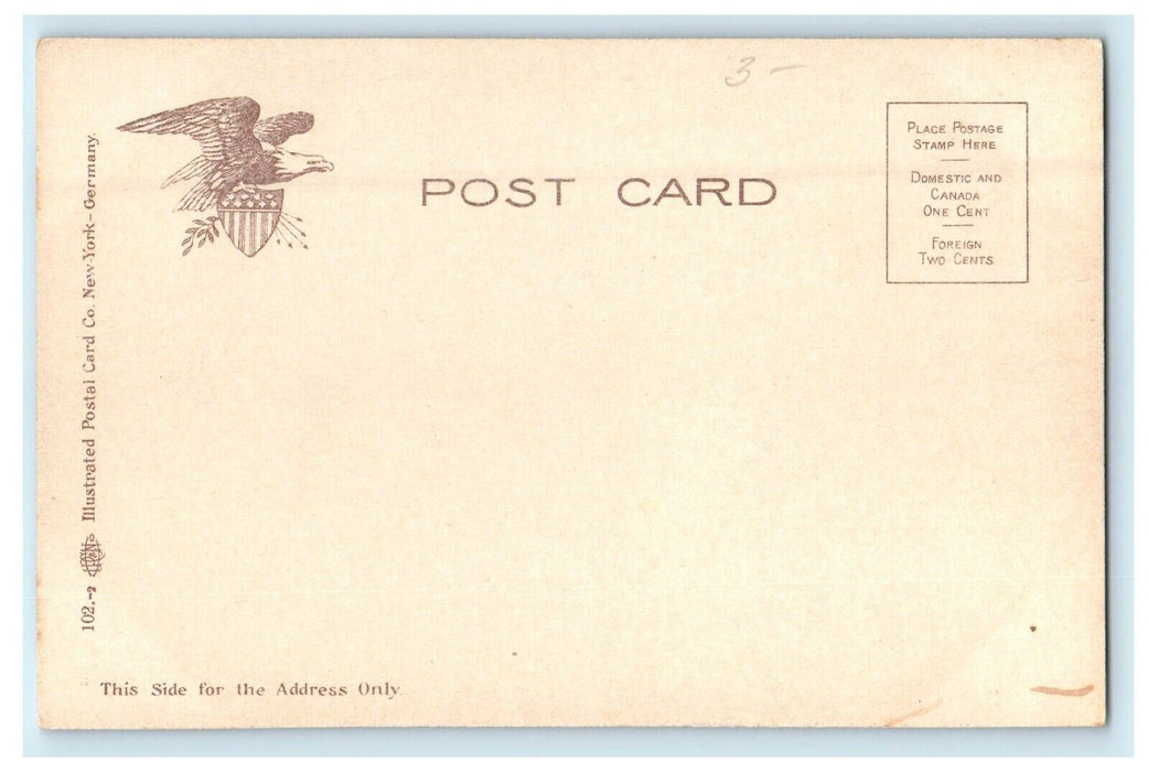 c1905 Deer Hunting Catch Mens Hunter Riffle Gun Adirondacks New York NY Postcard