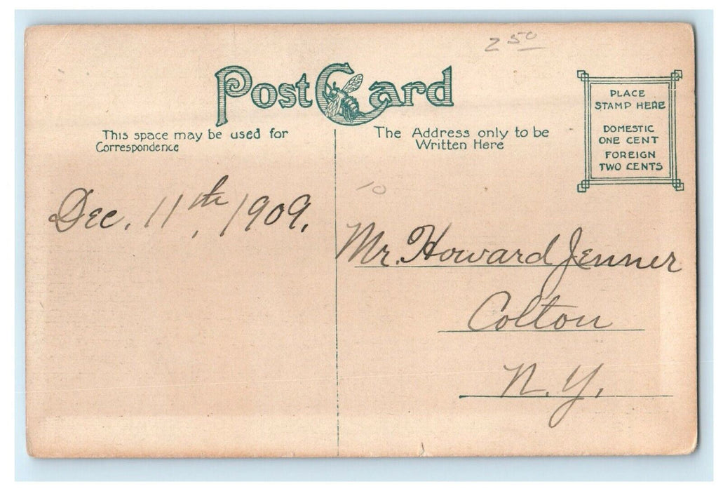 1909 The Carry At Eight Lake Fulton Chain Adirondack Mts. New York NY Postcard