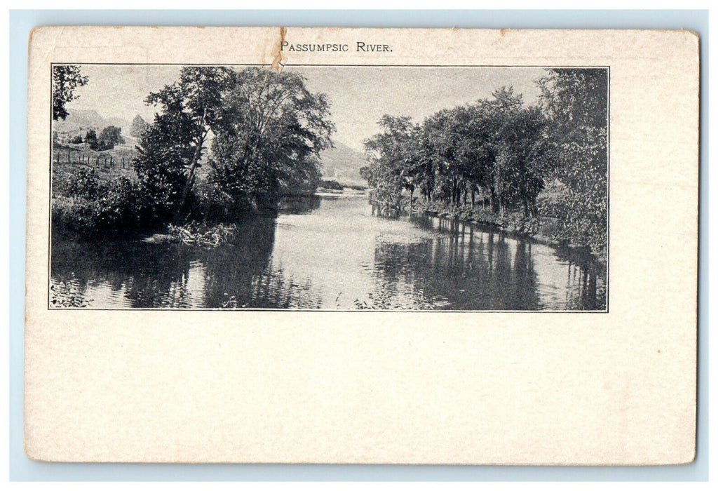 c1900s Passumpsic River Vermont VT Unposted Antique PMC Postcard