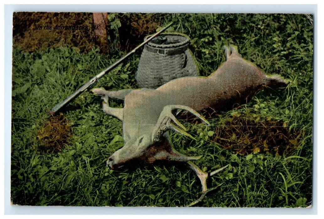 1913 Deer Hunting Speculator Adirondacks New York NY Posted Antique Postcard