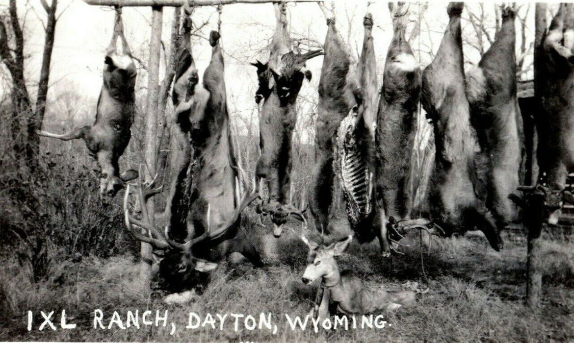 c1940's Hanging Deer Carcasses IXL Ranch Dayton Wyoming WY RPPC Photo Postcard