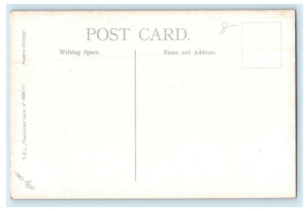c1910's Newburgh Steamer Ship Scene Hudson River New York NY Antique Postcard