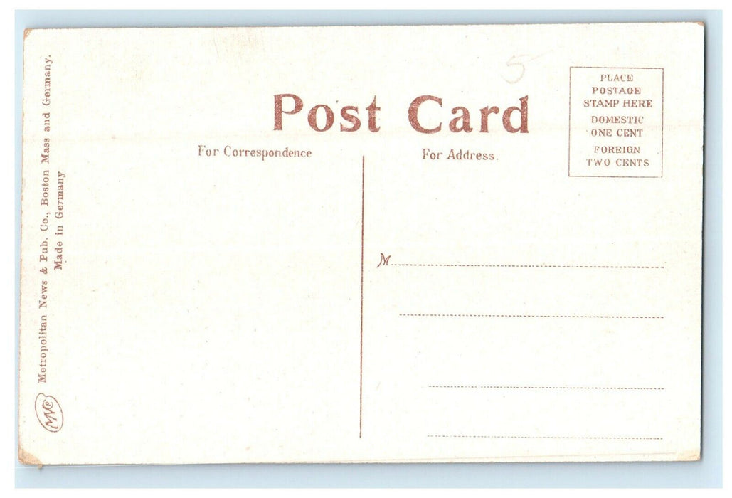 c1910's View Near Mountain House Chenning River Horse Buggy Elmira NY Postcard