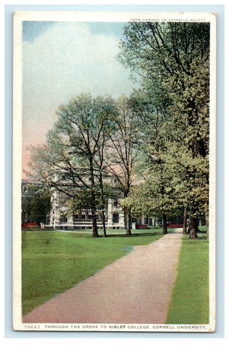 1918 Through The Grove To Sibley College Cornell University New York NY Postcard