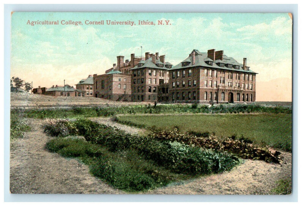 c1910's Agriculture College Cornell University Ithaca New York NY Postcard