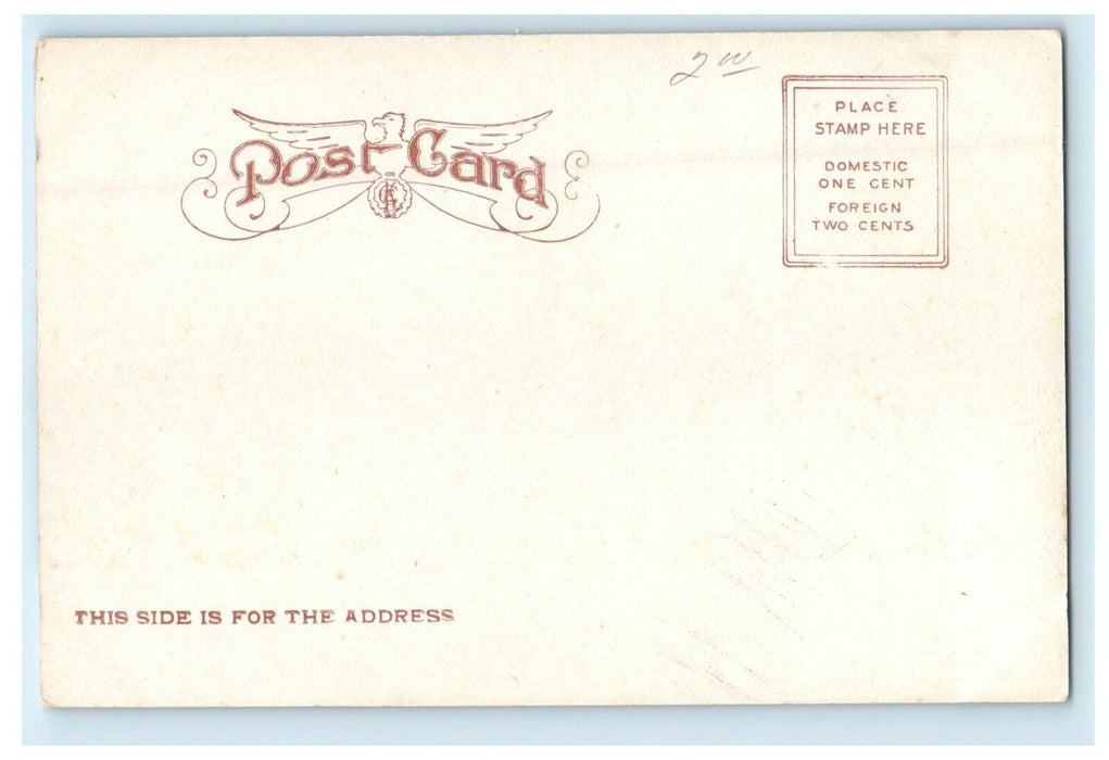 c1905 Hudson River NY, Day Line Steamer Hendrick Hudson Steamer Ship Postcard