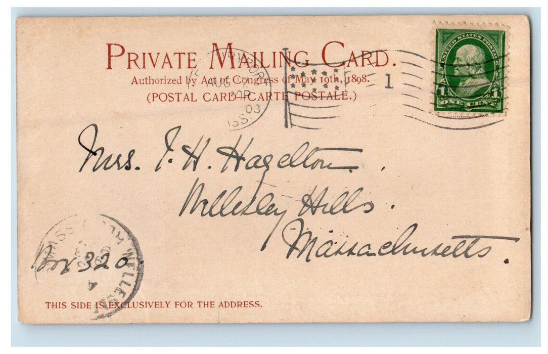 1903 Old Chain Bridge, Newburyport Massachusetts MA, Wellesley MA, Postcard