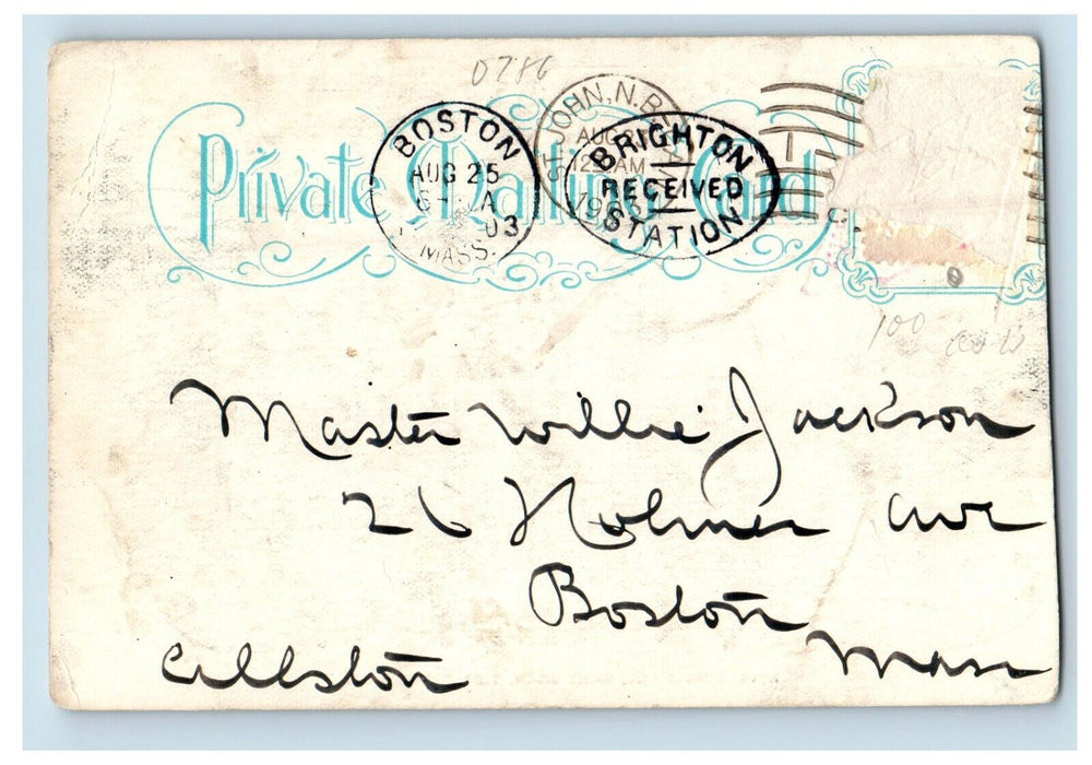 1903 Reversing Falls, Saint John Tide Running UP Canada, Boston MA Postcard