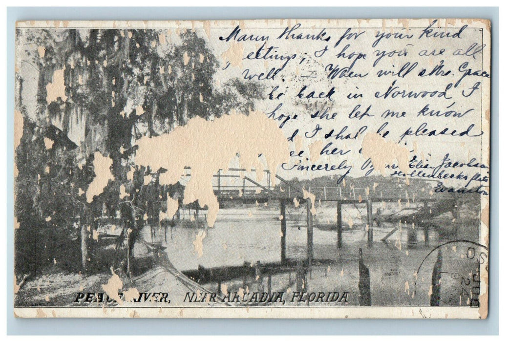 1907 Peace River Near Arcadia Florida FL PMC Cancel Posted Postcard