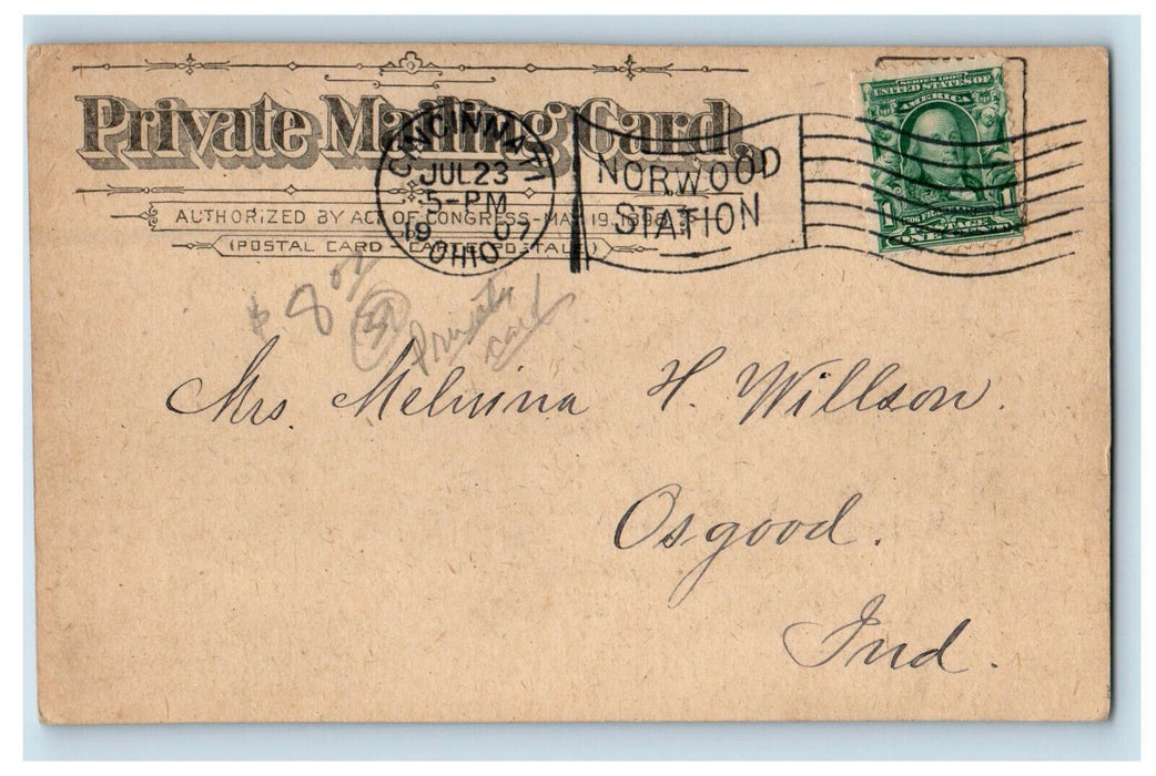 1907 Peace River Near Arcadia Florida FL PMC Cancel Posted Postcard