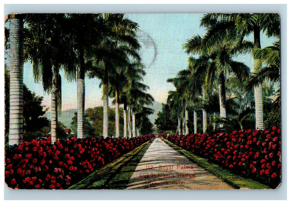 1913 Royal Palms and Hibiscus Hedge, Hawaiian Islands HI Postcard