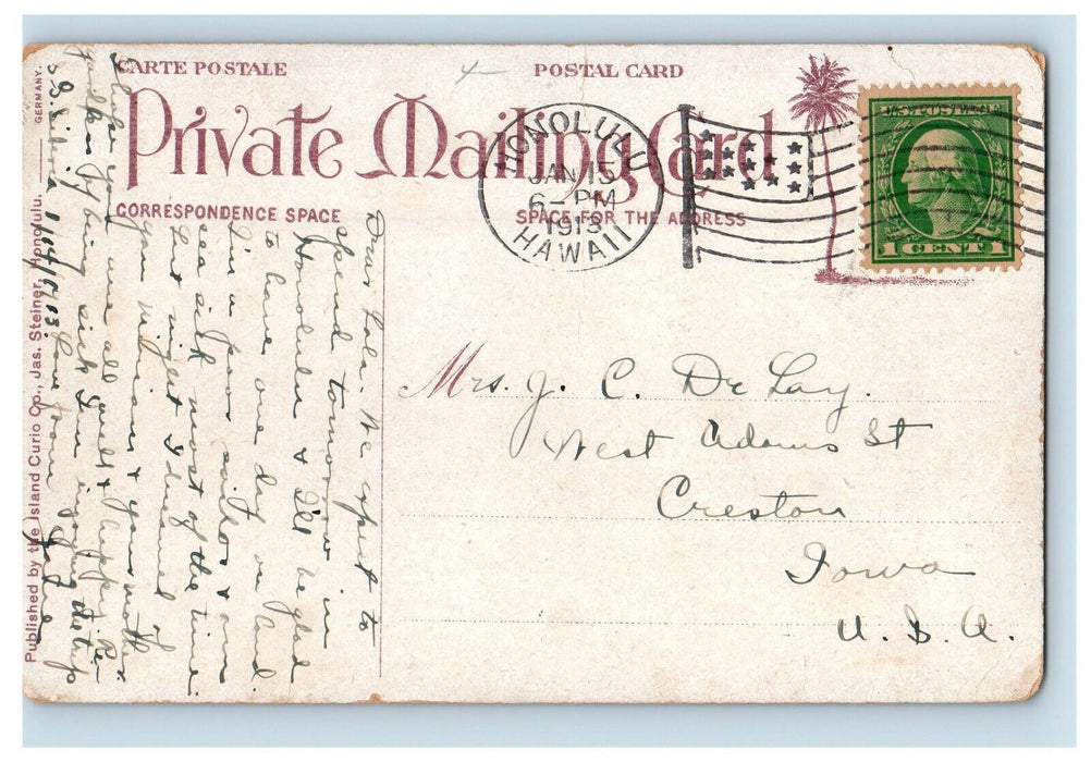1913 Royal Palms and Hibiscus Hedge, Hawaiian Islands HI Postcard
