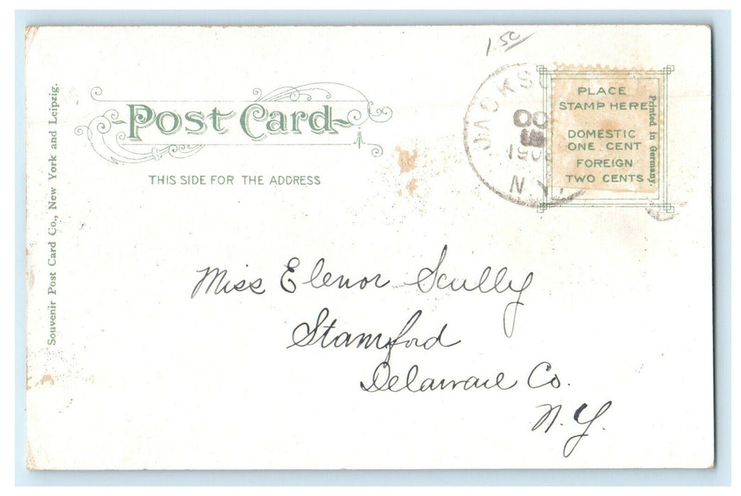 1908 Boardman Hall And Library Cornell University Ithaca New York NY Postcard