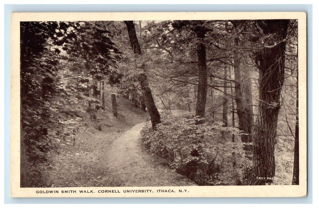 c1940s Goldwin Smith Walk, Cornell University, Ithaca New York NY Postcard