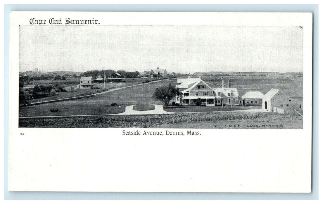 c1900s Seaside Avenue, Dennis Massachusetts MA Cape Cod Souvenir Postcard