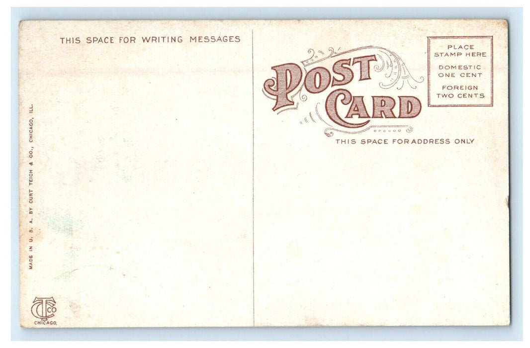 c1910's Hotel Windemere Building Chicago Illinois IL Unposted Antique Postcard