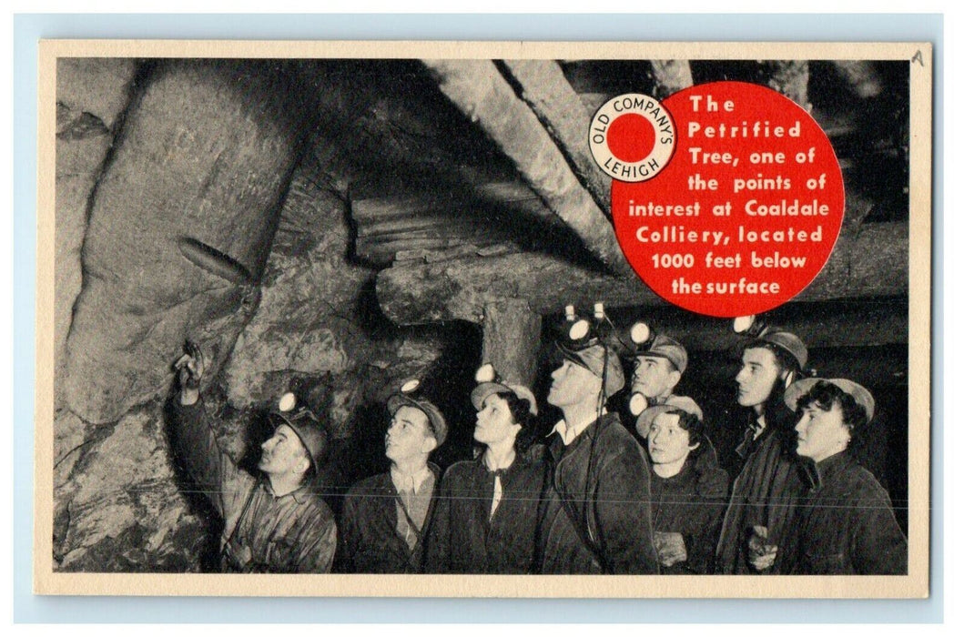 1915 Old Company's Lehigh, Coaldale Pennsylvania PA Advertising Postcard