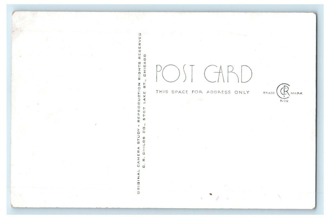 c1940s Gateway to No Man's Land, Illinois White Pines Forest State Park Postcard