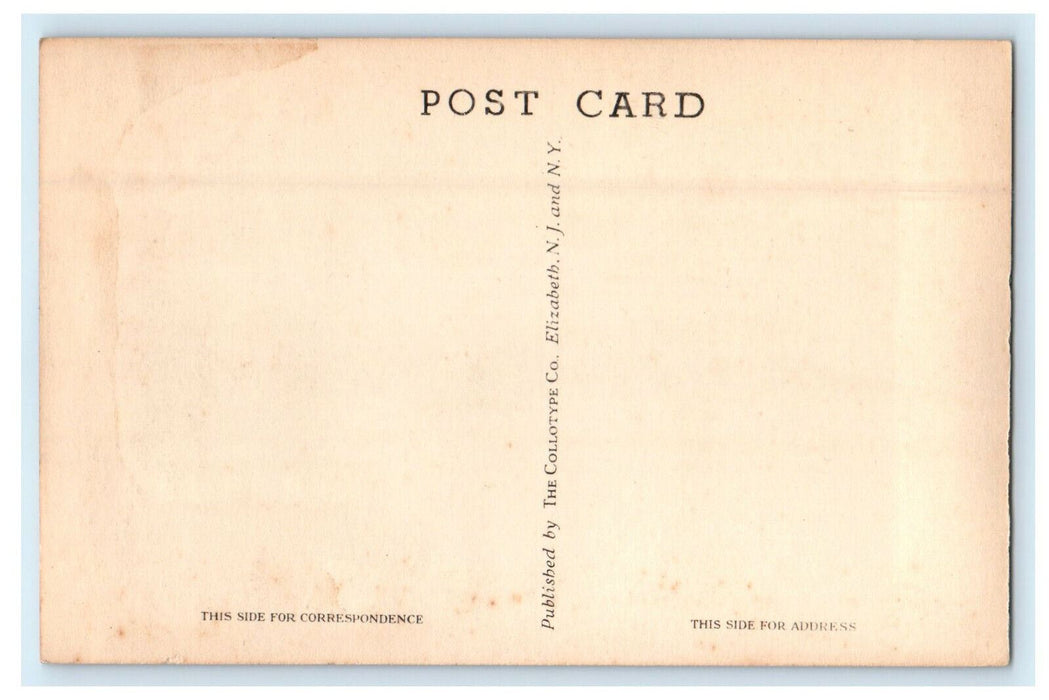 c1920 Tourist Shop Whitcomb Summit Mohawk Trail Massachusetts MA Postcard
