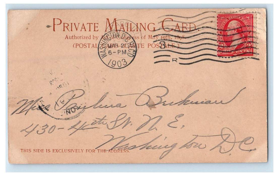 1903 Randolph Street, Chicago Illinois IL PMC Antique Posted Postcard