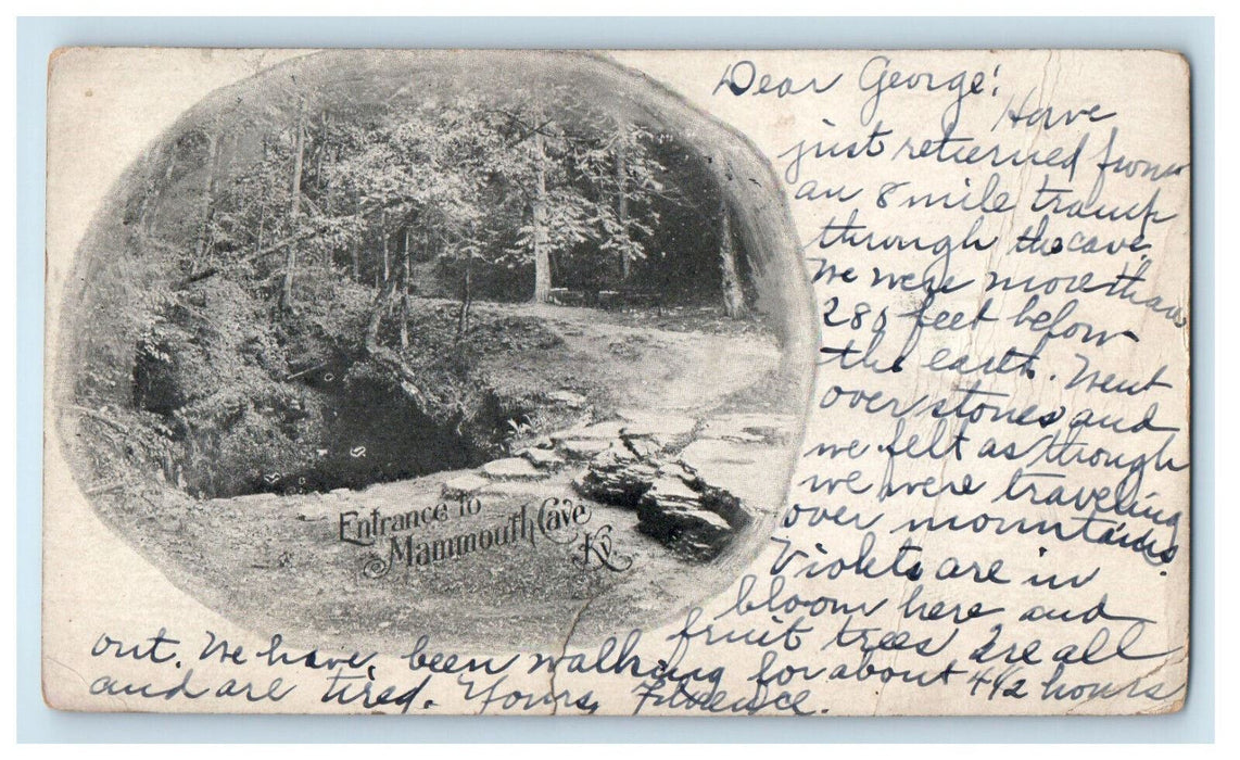 1904 Entrance to Mammouth Kentucky KY PMC Posted Antique Postcard