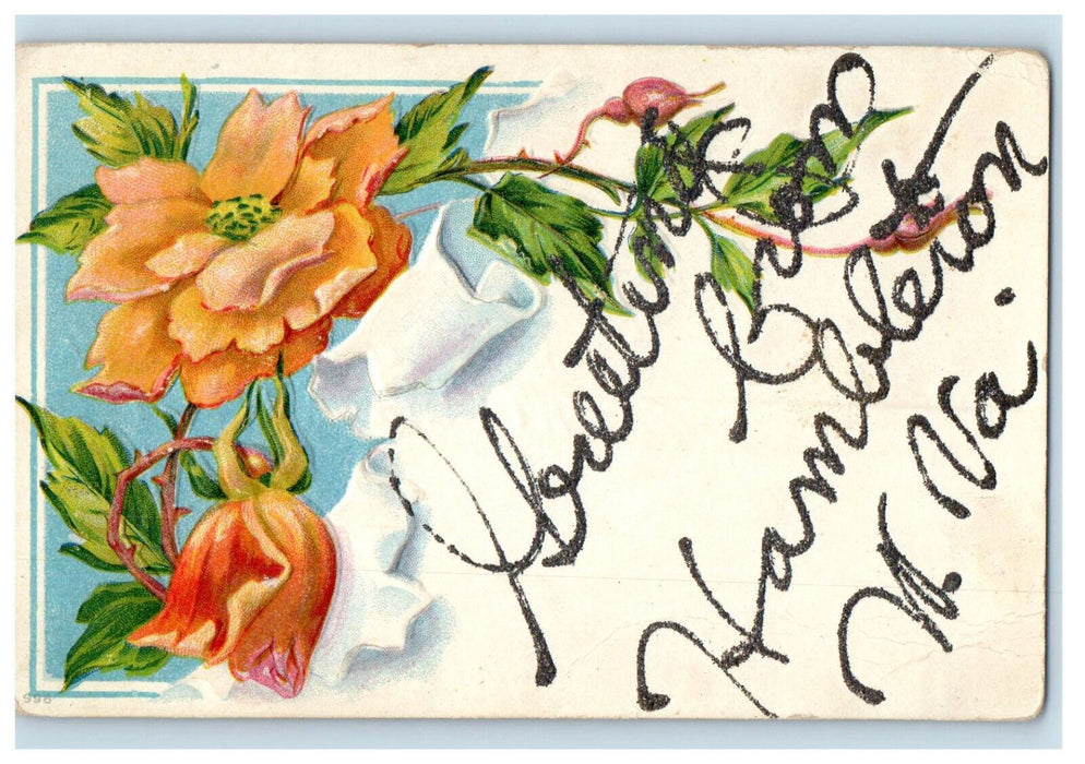 c1910 Orange Flowers, Greetings from Hambleton West Virginia WV Postcard