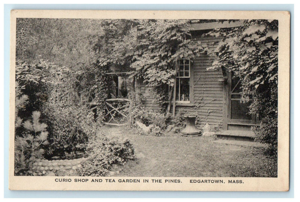 c1940 Curio Shop and Tea Garden in the Pines Edgartown MA Advertising Postcard