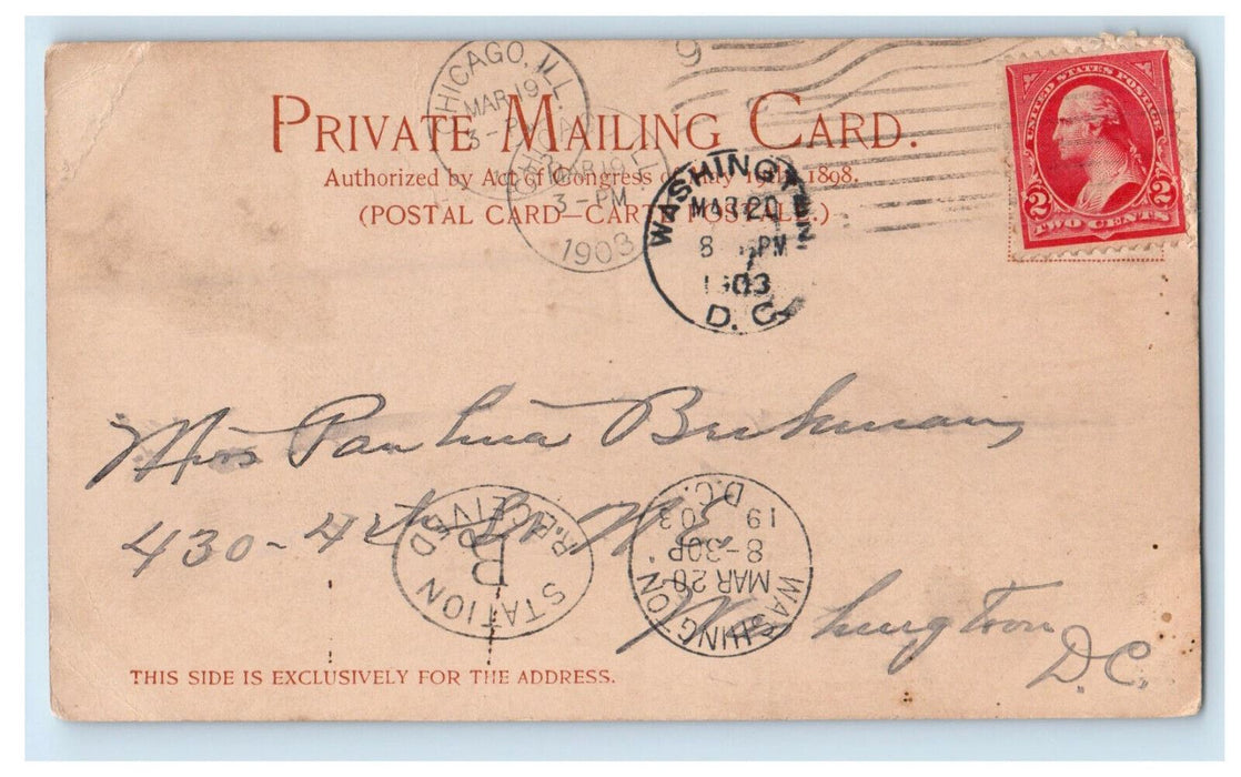 1903 The Heart of Chicago Illinois IL Washington DC PMC Posteed Postcard