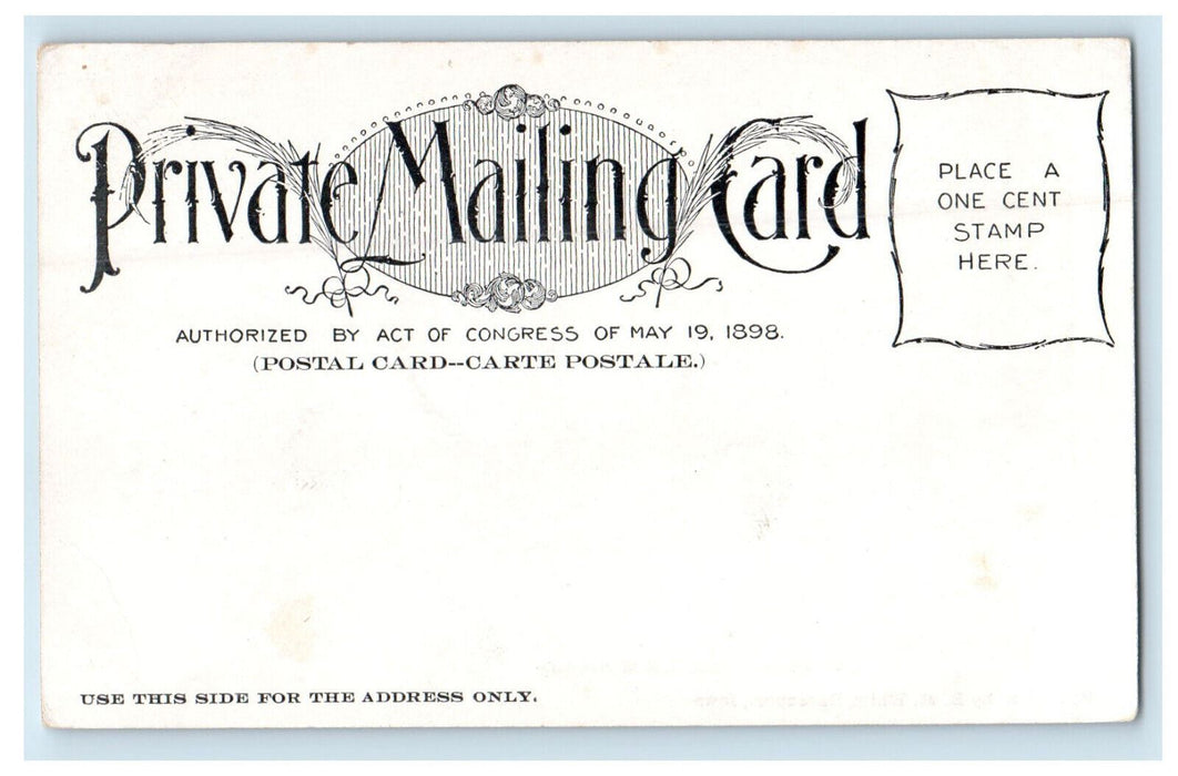 c1900s Greetings from Davenport Iowa IA PMC Unposted Antique Postcard