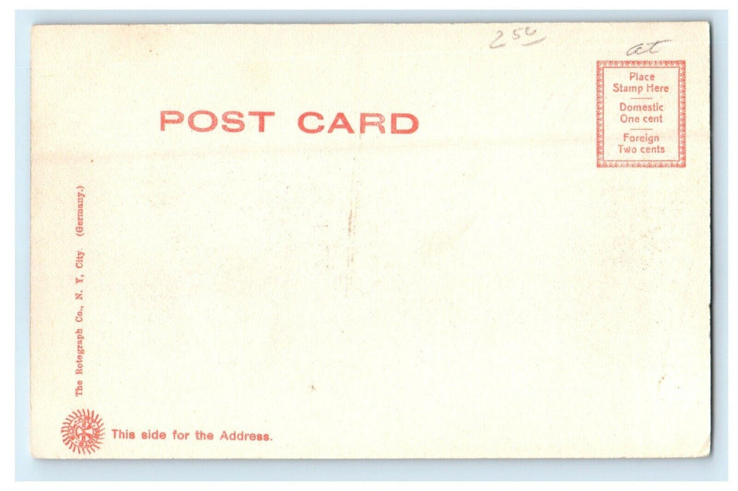 c1905 Theta Delta Chi Fraternity Lodge Ithaca New York NY Rotograph Postcard
