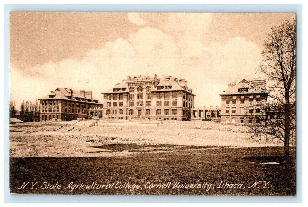 1908 New York State Agriculture College Cornell University Ithaca NY Postcard