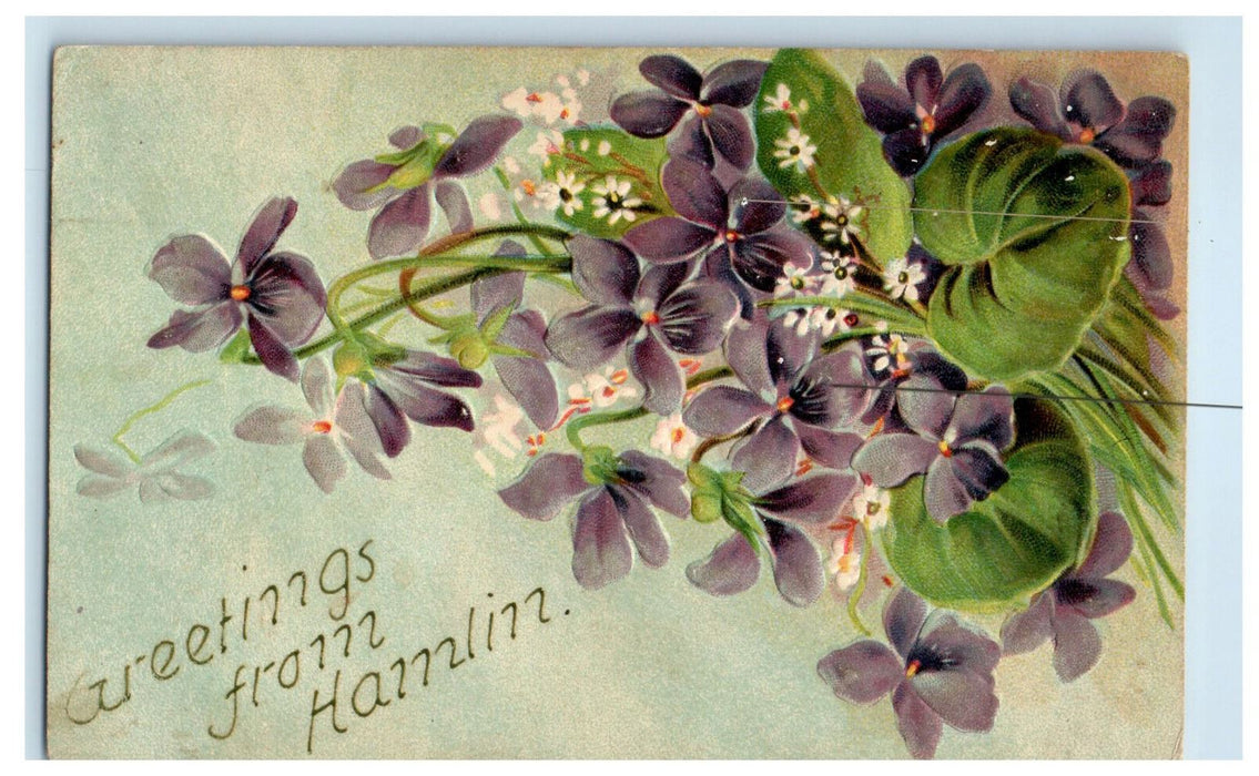 c1910 Violet Flowers, Greetings from Hamlin Lincoln County WV Postcard