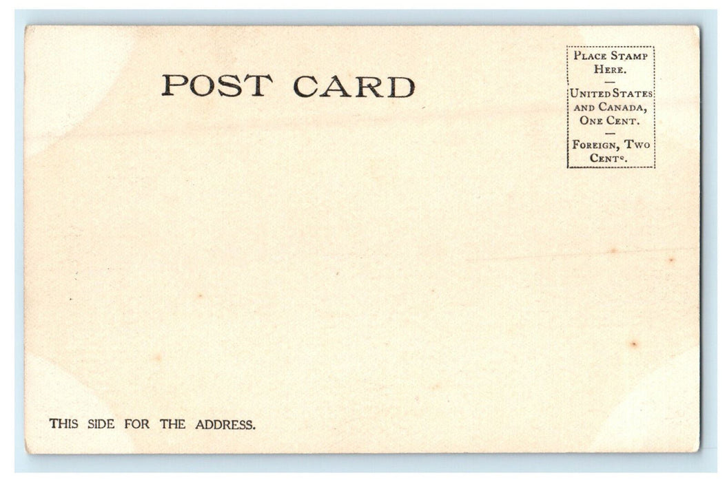 c1920s Joliet Township High School, Joliet Illinois IL Unposted Postcard