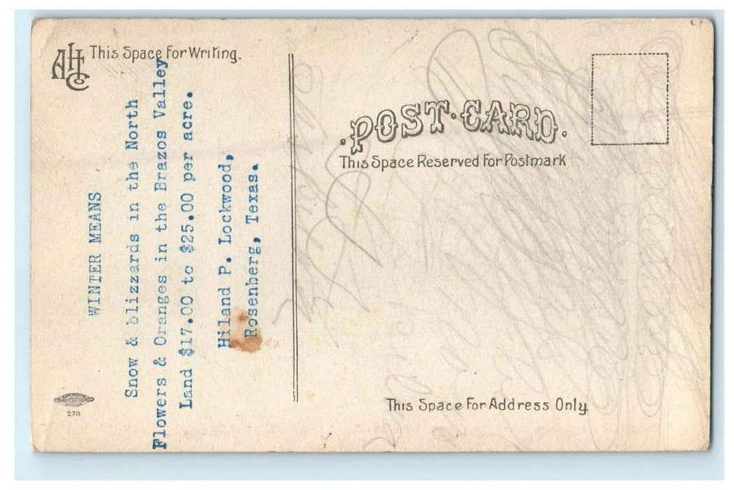 c1910's Brazos Valley Real Estate Advertising Orange Tree Rosenburg TX Postcard
